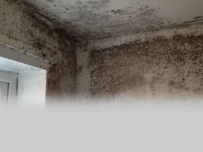 Airtech helps landlords tackle mould and condensation