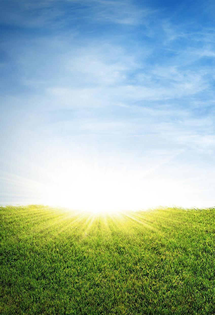 Spring sunshine over field