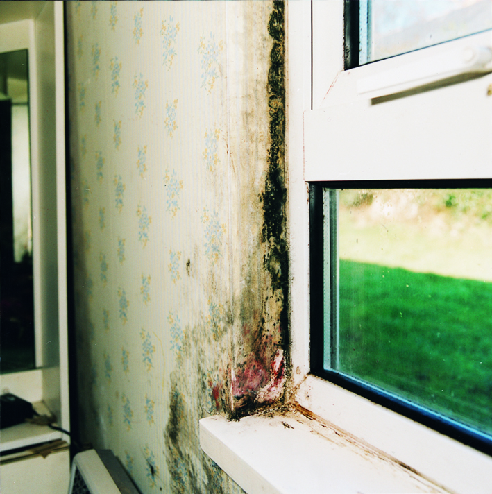 mould and condensation around window