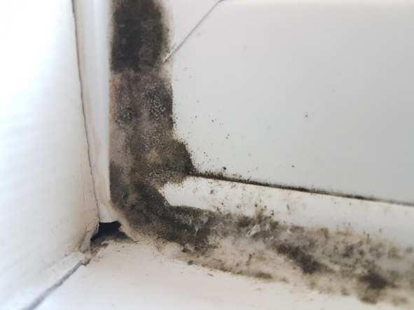 condensation mould